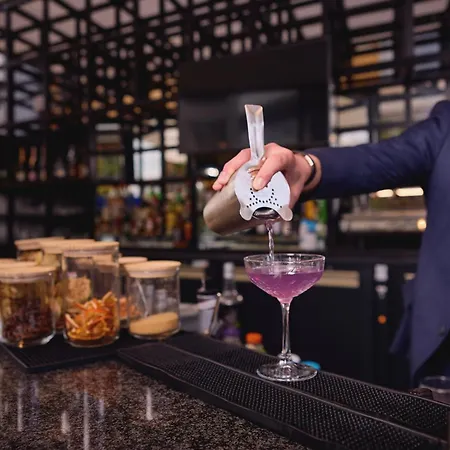 Der Valk Paris Cdg Airport Hotel